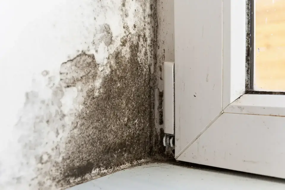 Restoring Your Property After Unexpected Flooding — Grand Prairie, TX